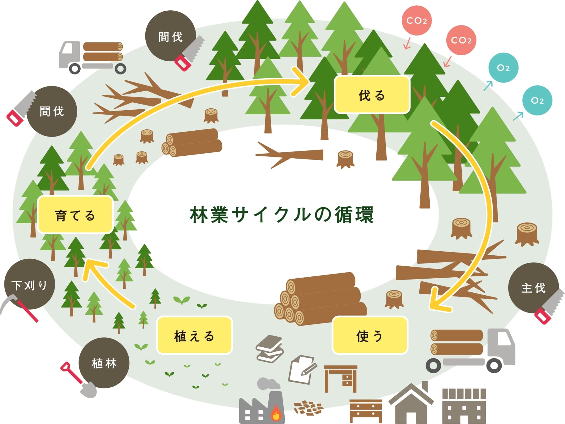 林業サイクルの循環図